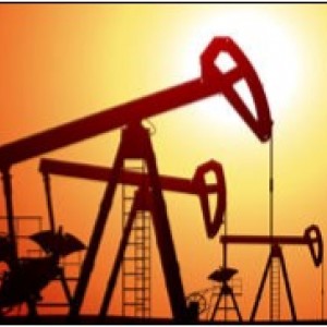 oils and fuels hoses