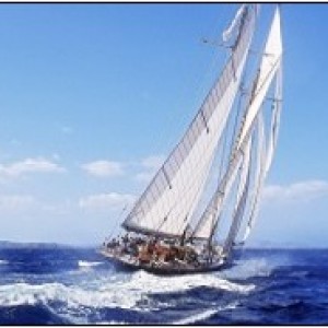 r.i.na homologated hoses